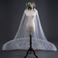 Velo da sposa in pizzo velo da sposa da trascinamento lungo 3 metri accessori da sposa all'ingrosso della fabbrica - Pagina 3