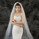 Tailing velo da sposa accessori da sposa velo squisito pizzo applique velo lace - Pagina 4