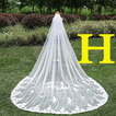 Velo da sposa Lungo Con il pettine Classe Pizzo Overlay Pizzo Applique