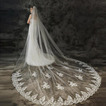 Tailing velo da sposa accessori da sposa velo squisito pizzo applique velo lace