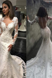 Abito da sposa sirena Quanto Queen Anne collo All Aperto Applique