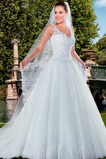 Abito da sposa Pizzo Bassa A-Line Scollo a v V Autunno Senza Maniche