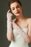 Guanti da sposa Traslucido Primavera Avorio bordo tornito Pizzo Lungo