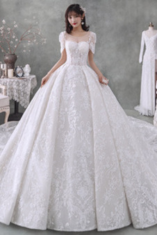 Abito da sposa Inverno A-Line Pizzo Overlay Maniche Corte Allacciato