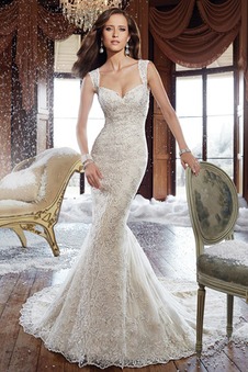 Abito da sposa Pizzo Applique abbondante Lungo Senza Maniche Naturale