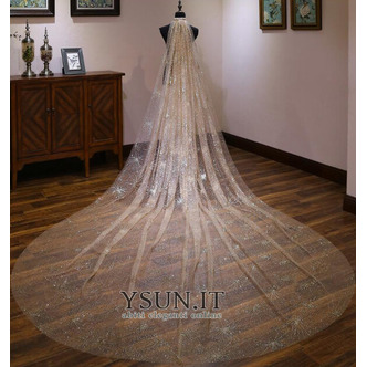 Velo lungo lussuoso velo da sposa sposa velo da sposa bling - Pagina 2